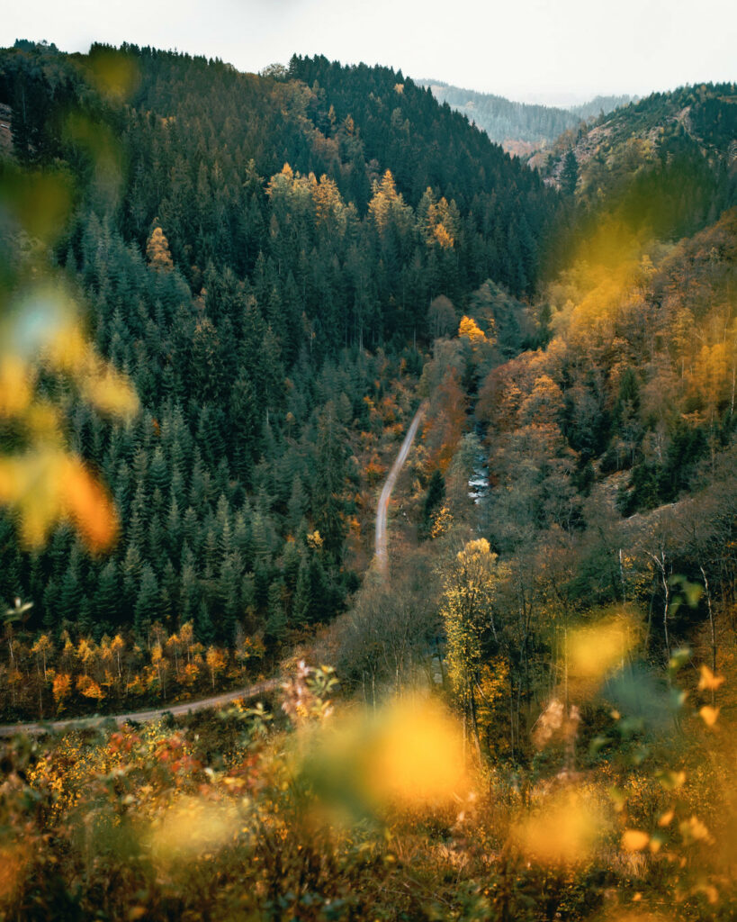 L’Ardenne en automne ©Kévin Devogele