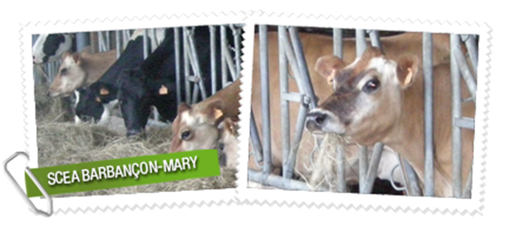SCEA Barbançon-Mary