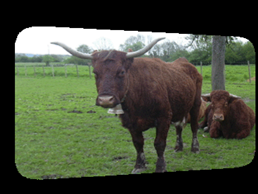 Ferme de la Herse