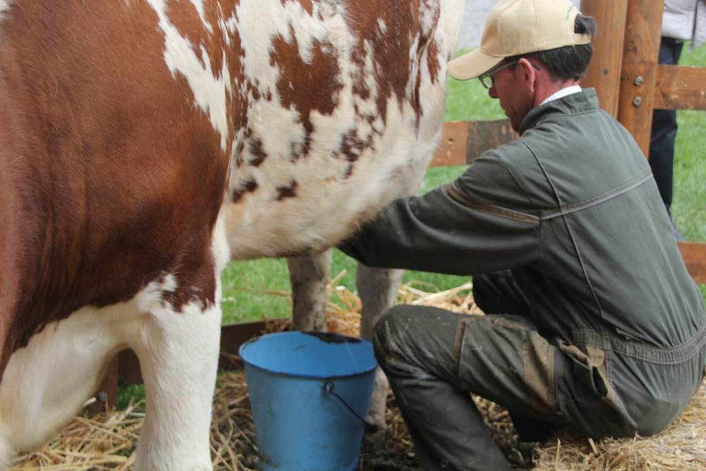 La Ferme du Lion d'Or - Produits fermiers