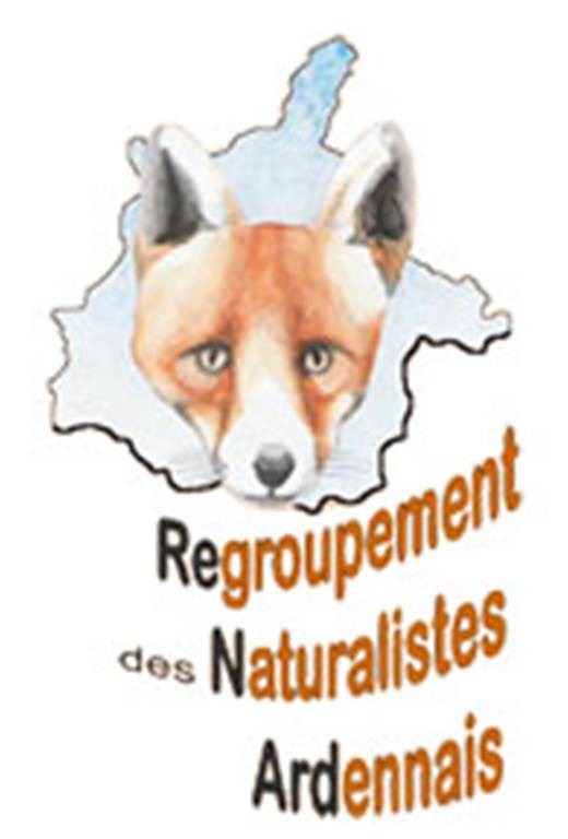 REgroupement des Naturalistes ARDennais