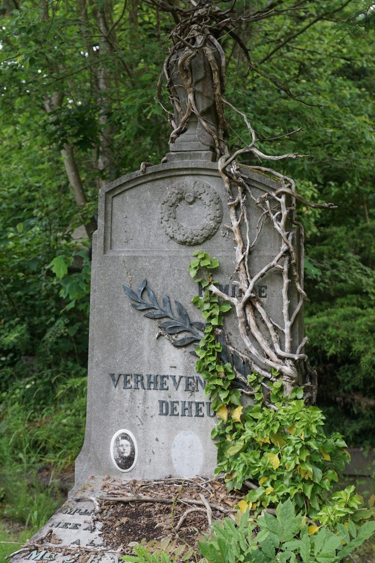 Novembre- province de Namur