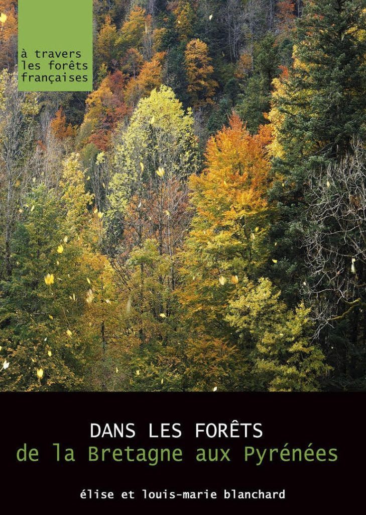 Affiche dans les forêts