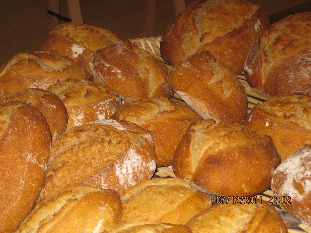 Boulangerie l'île logique