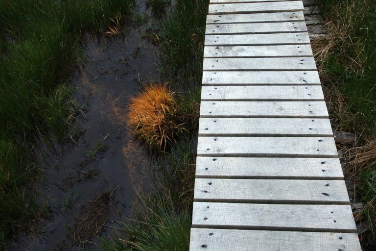 Chemin en caillebotis dans les Hautes Fagnes