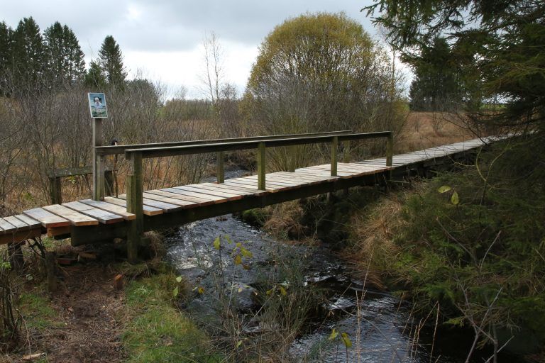 Chemin en caillebotis dans les Hautes Fagnes