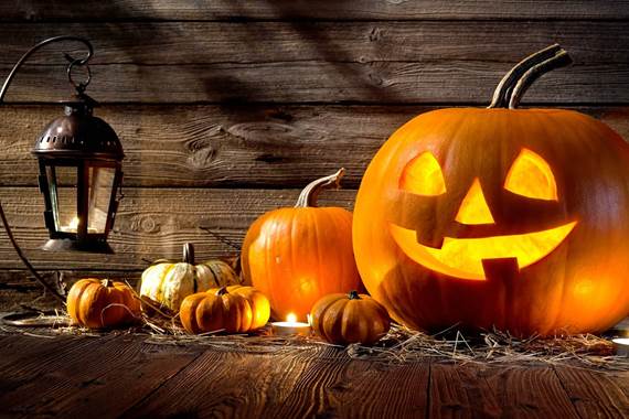 Visite Halloween au Parc Chlorophylle
