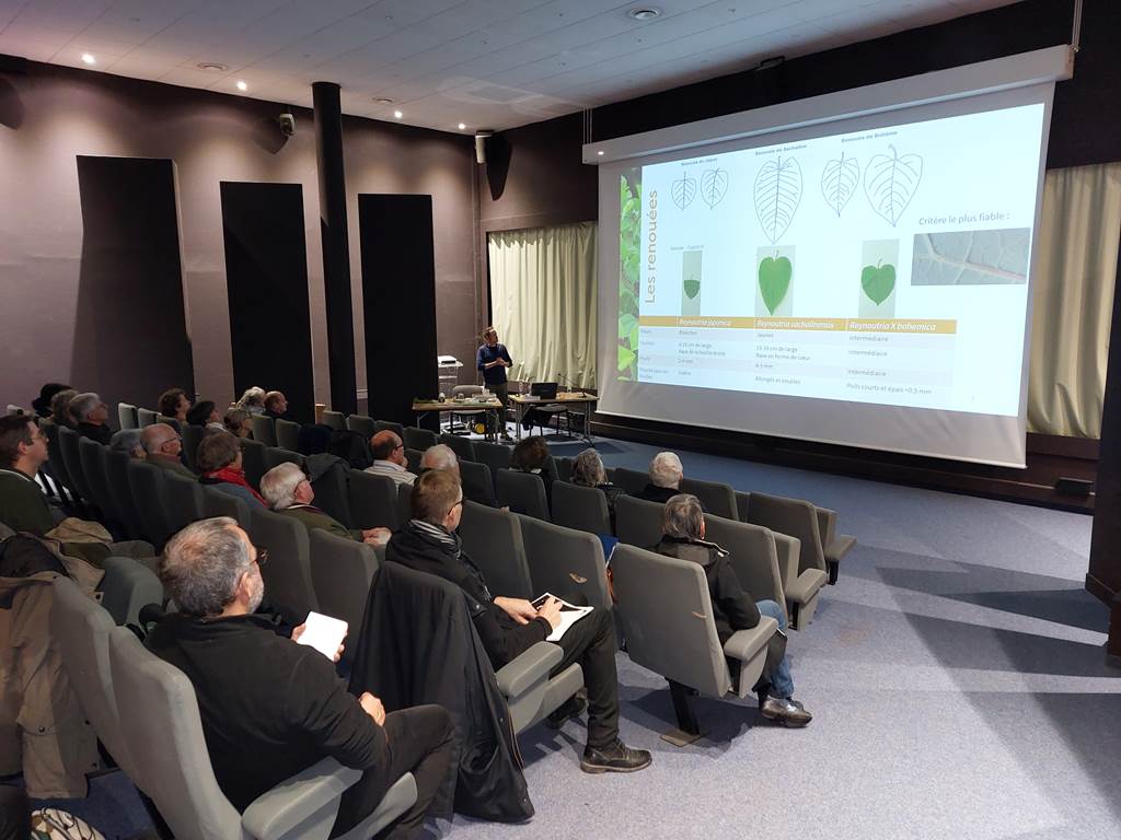 Conférence : les espèces exotiques envahissantes