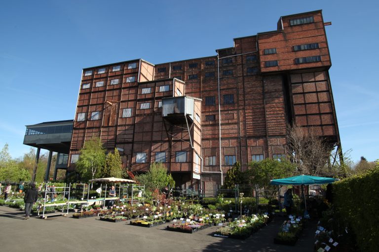 Blegny Mine En Fleurs Plantes 2016 - Province de Liège.
