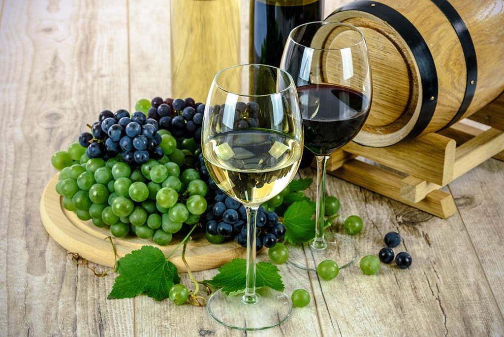Rencontres vigneronnes