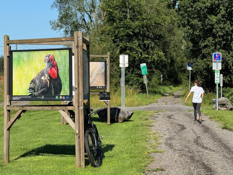 Exposition photo "Les saisons de la photo" à l'entrée du RAVel à Bernimont.