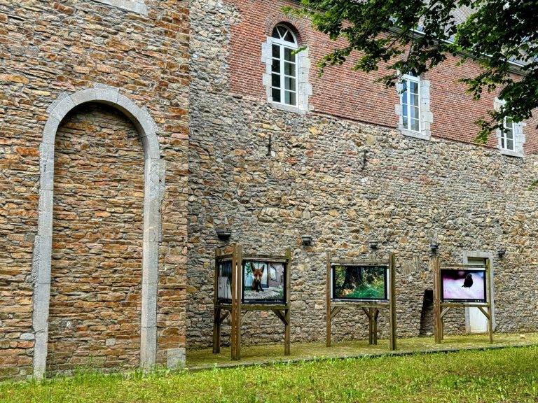 Exposition photo "Les Saisons de la photo", dans la Cour des Tilleuls à Saint-Hubert.