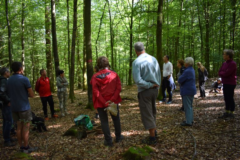 Des randonneurs en forêt lors d'une balade guidée.