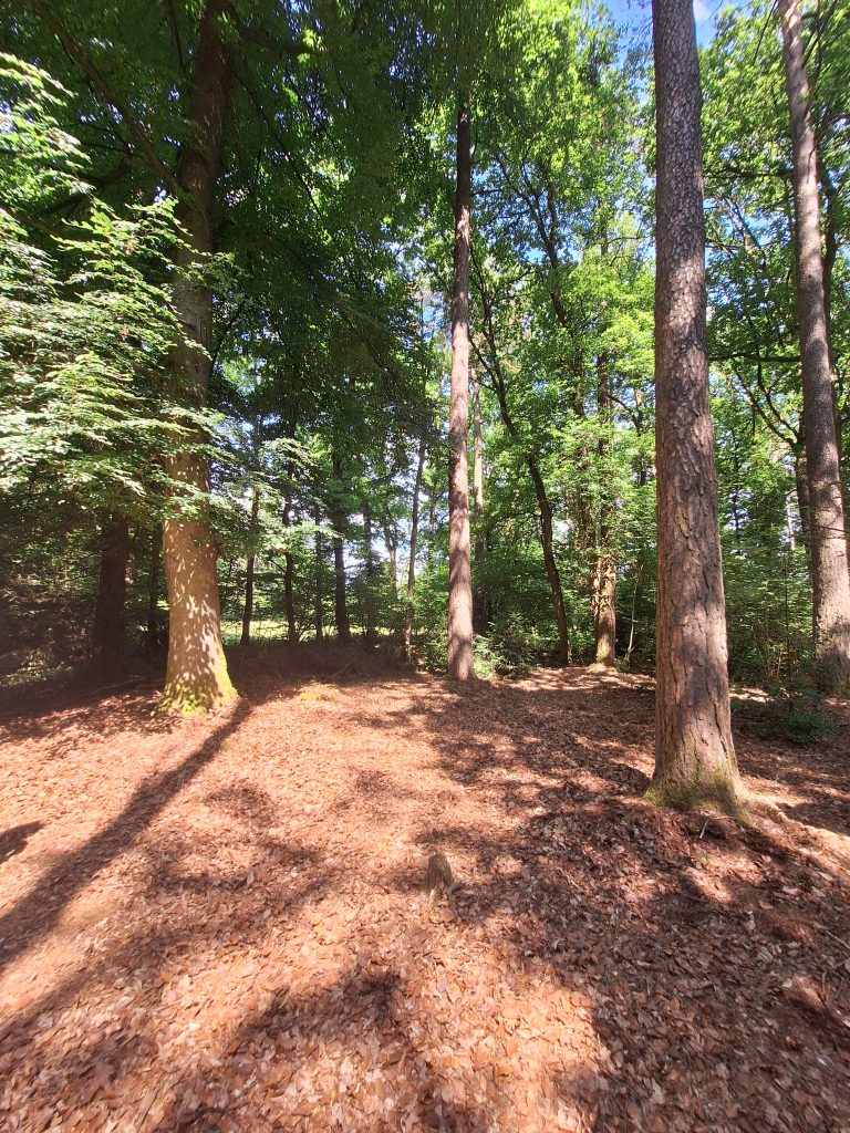 Sentier À pas de loup