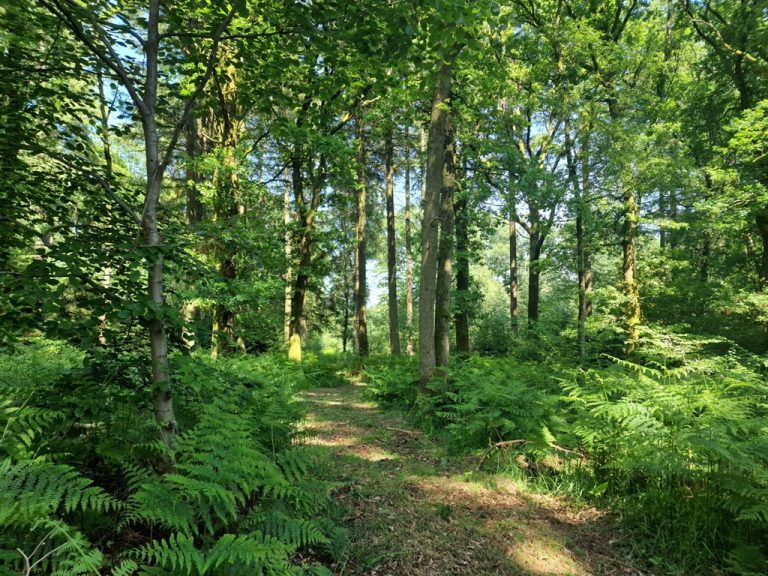 Parcours À pas de loup