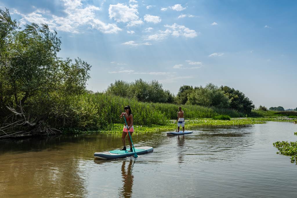 Expériences nautiques