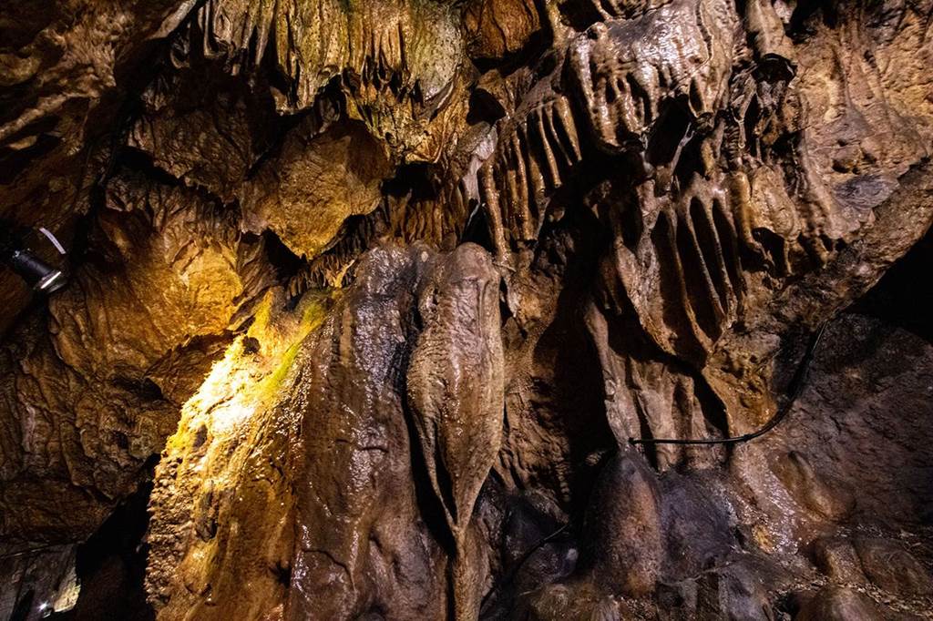 Visite gourmande de la grotte de Nichet