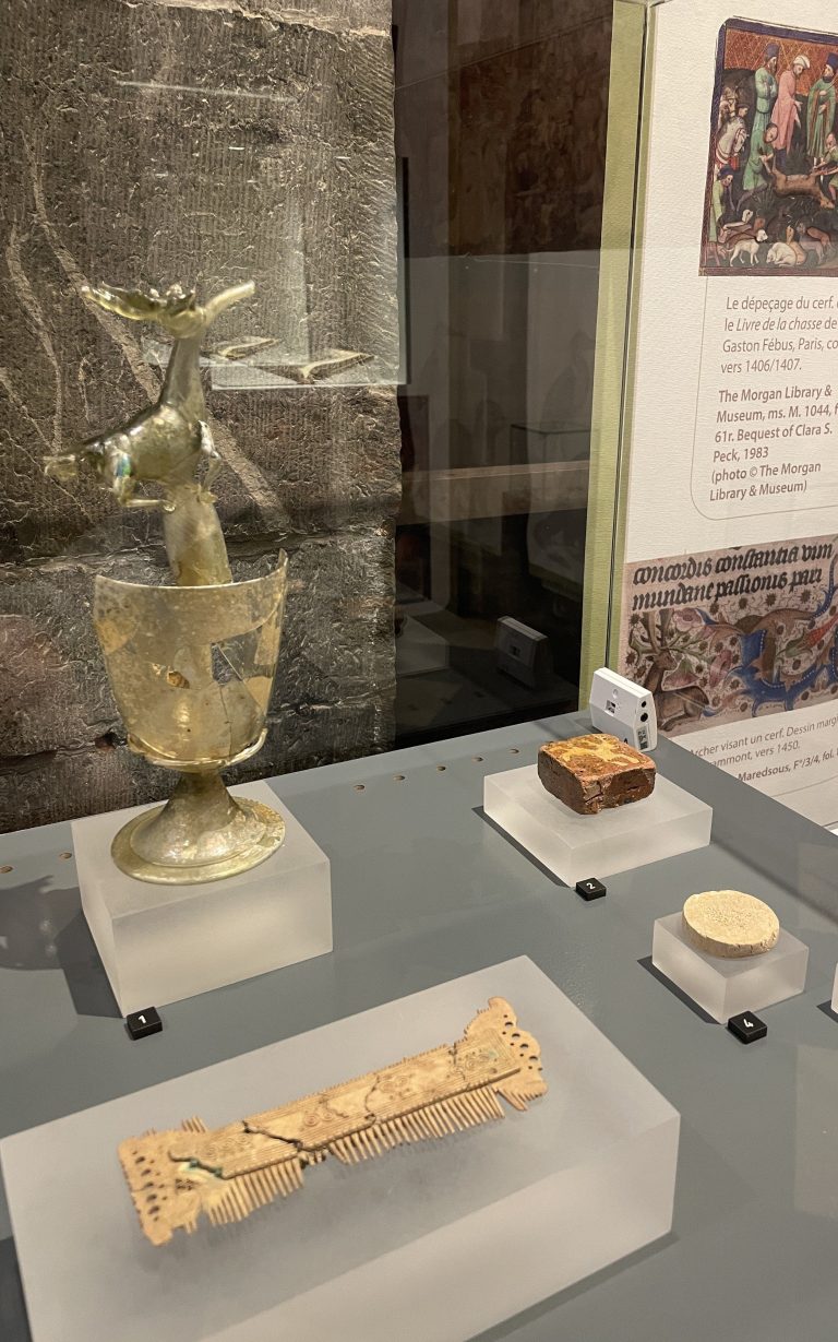 Une peigne en verre issue de l'exposition "Avoir sa peau".