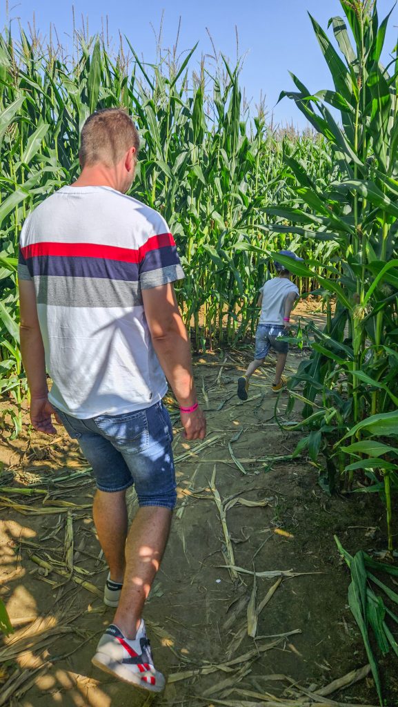 Le labyrinthe de Hannut, un père et son fils cherchent leur chemin.
