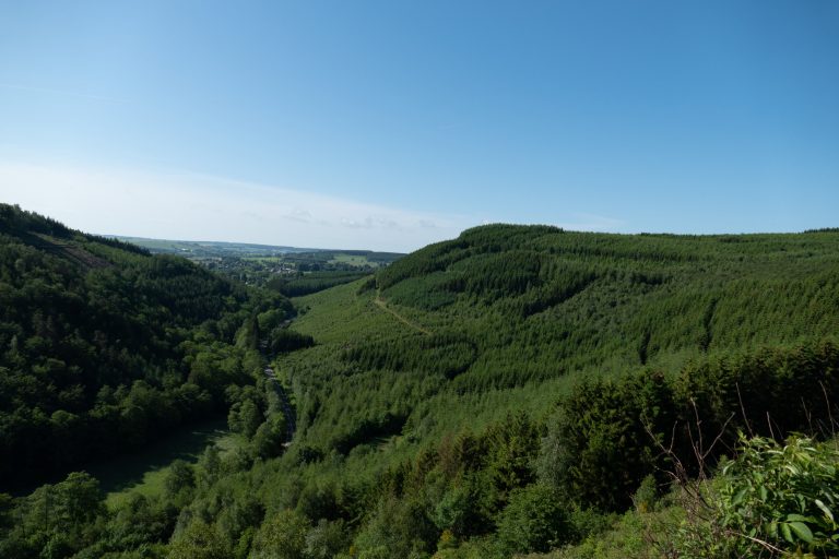 Paysage à Sainte-Ode ©Ingrid Jusseret