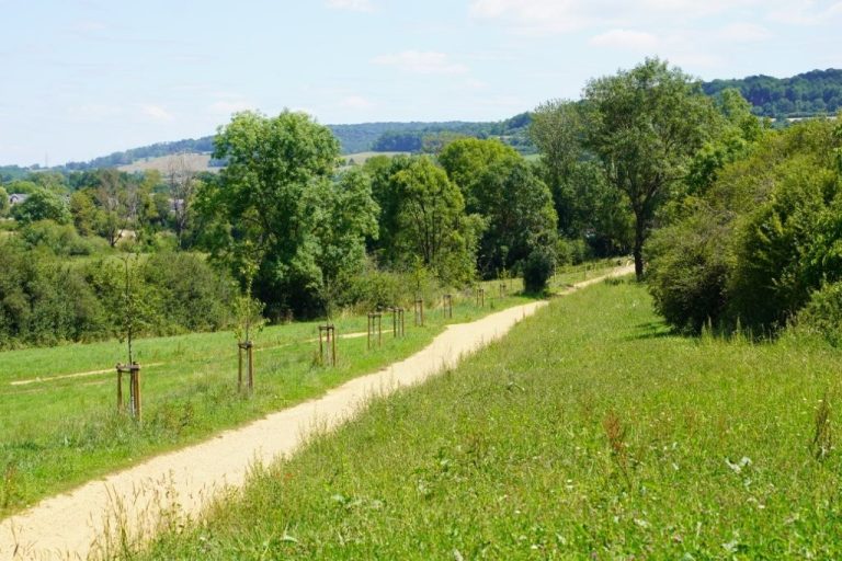 Piste cyclo-piétonne entre Lamorteau et Tintigny ©SPW DAFoR