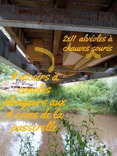 Alvéoles à chauves-souris et nichoirs à cincle ©SPW DAFoR