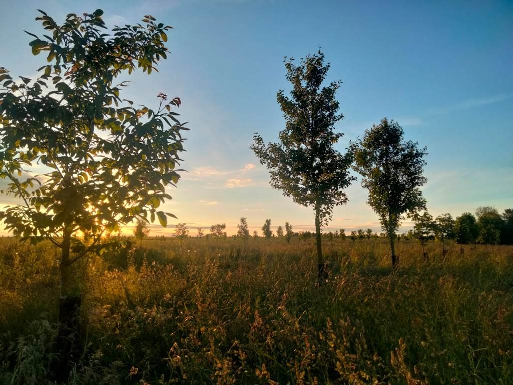 L'Oasis ardennaise