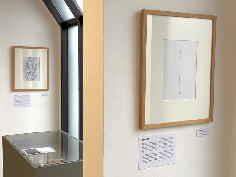 Exposition Focus Dessin au Musée du Petit Format d'Art Contemporain.