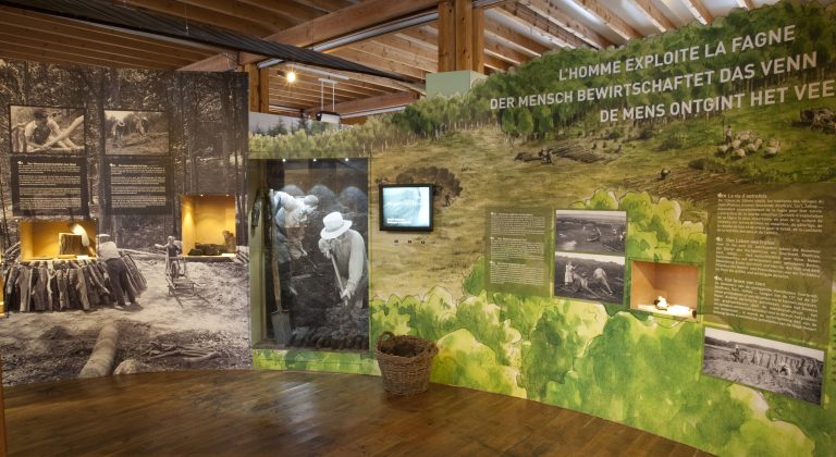 Une partie de l'exposition Fania au Parc naturel Hautes Fagnes - Eifel.