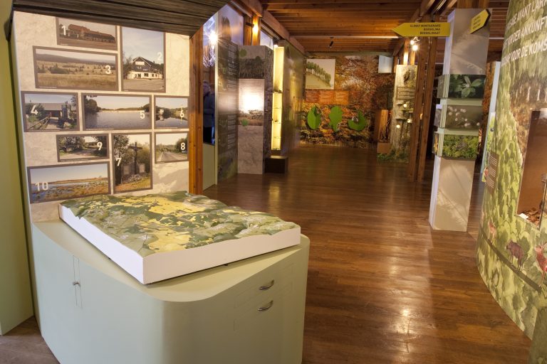 Une partie de l'exposition Fania au Parc naturel Hautes Fagnes - Eifel.