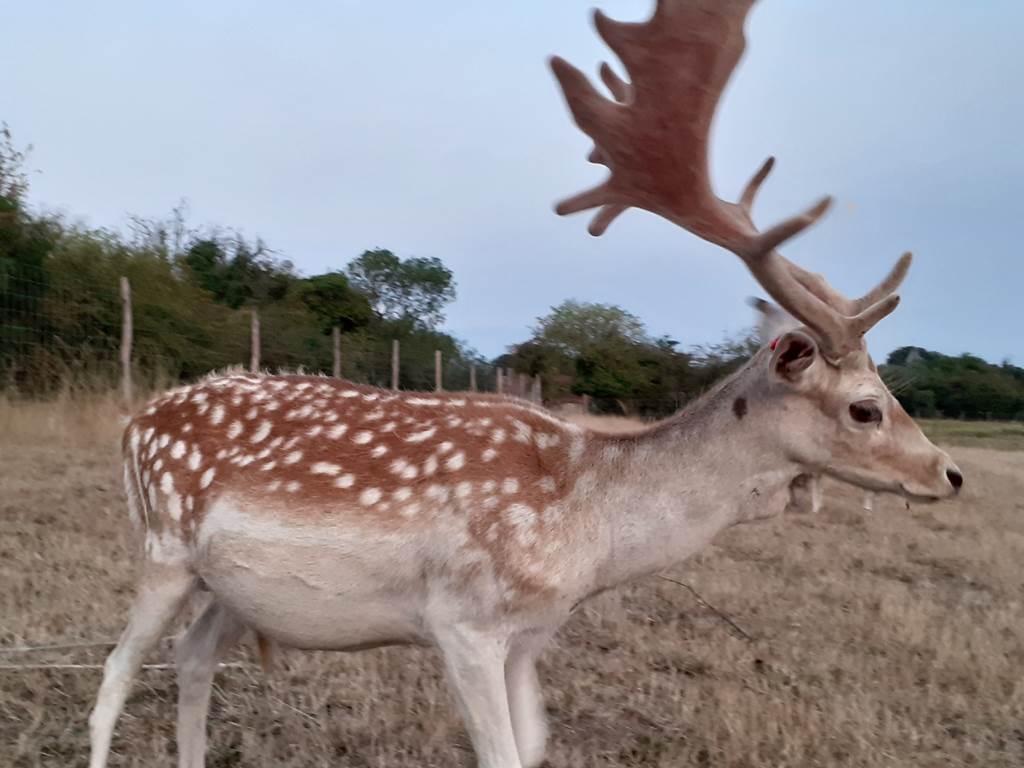 La Ferme de Chennery