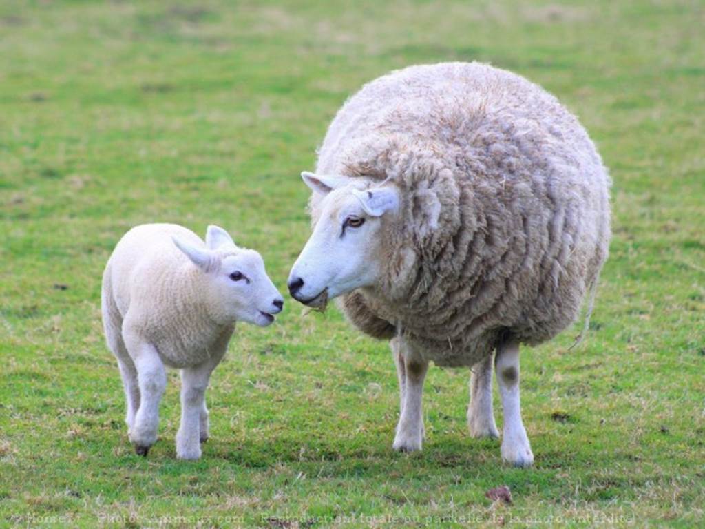 Cosmétiques Vantône