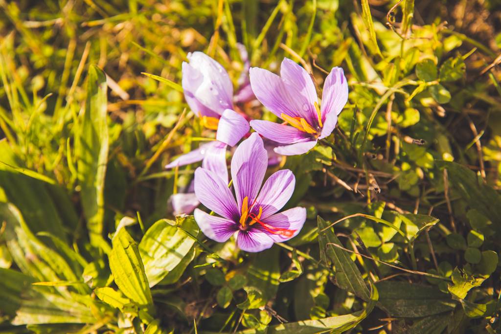 La Ferme du Pré Grandin