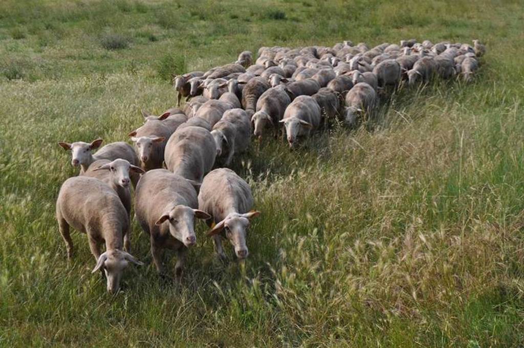 Ferme de Saint Quentin - Cosmétiques Vantône