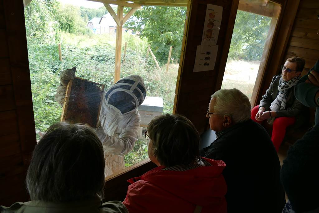 Le Rucher du Marcassin