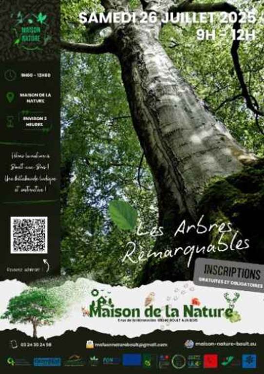 Les arbres remarquables