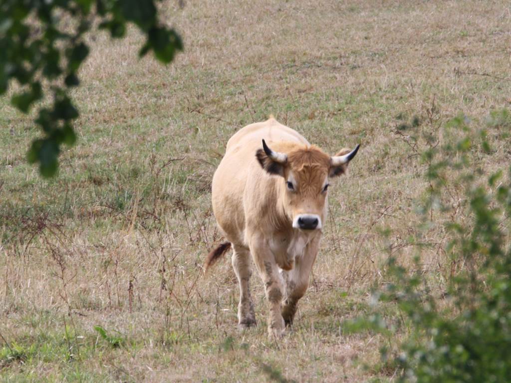 Ferme de la Terre au Chêne