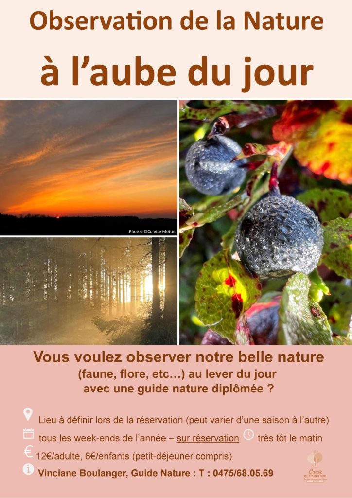 Observation de la Nature à l'aube du jour