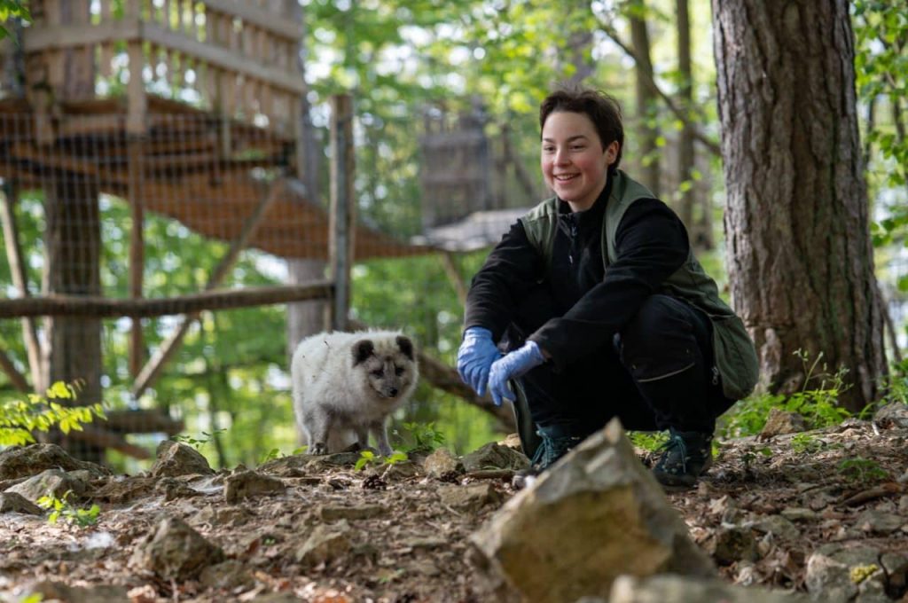 Soigneur d’un jour – Terres du Nord