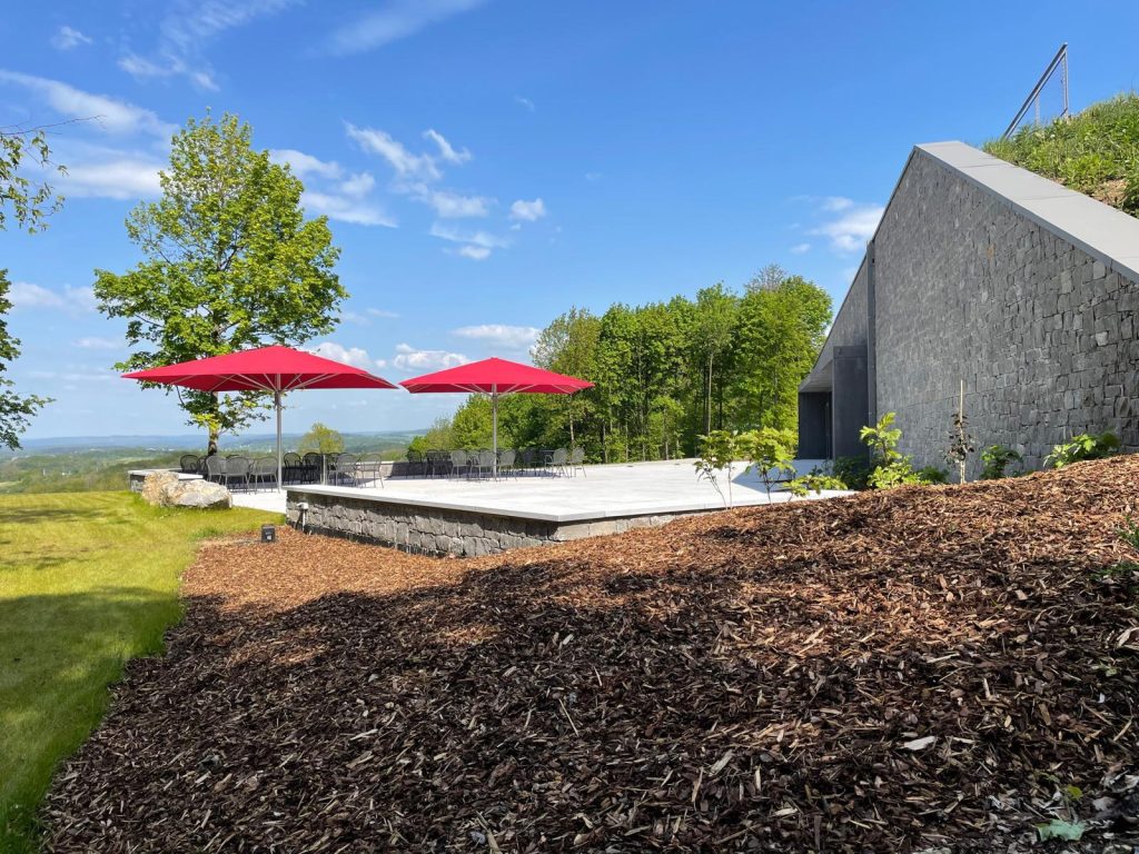 Visite de l'arboretum