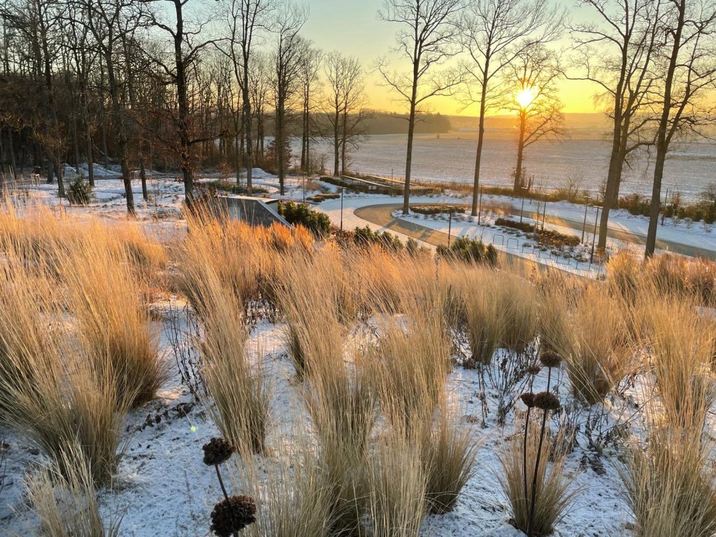 Visite de l'arboretum