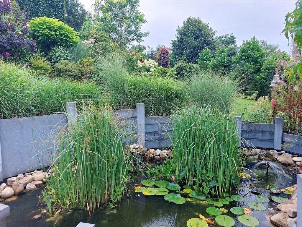 Visite du jardin la clé du temps