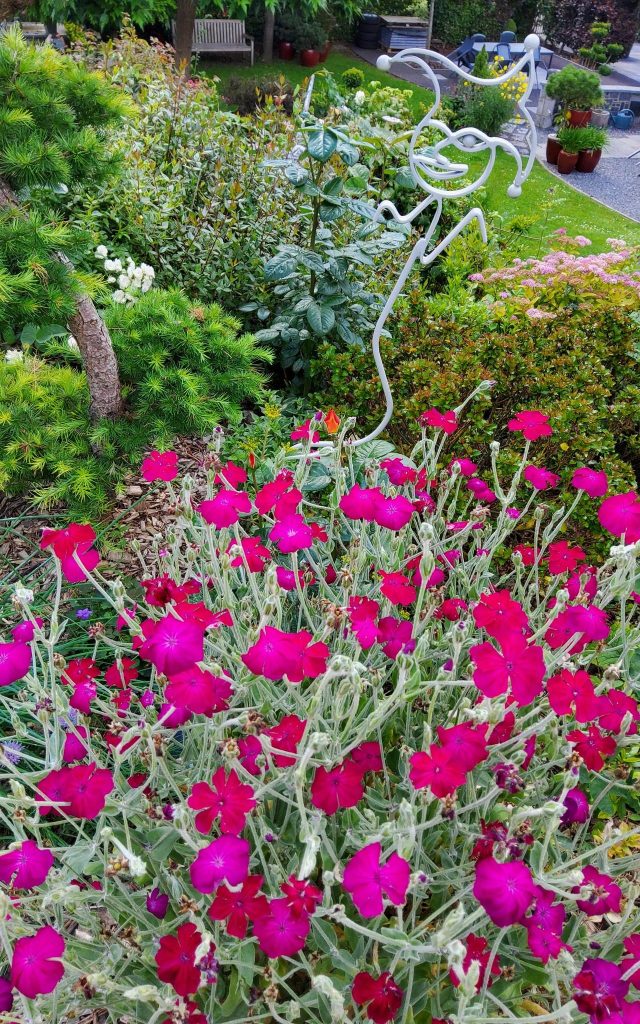 Visite du jardin la clé du temps