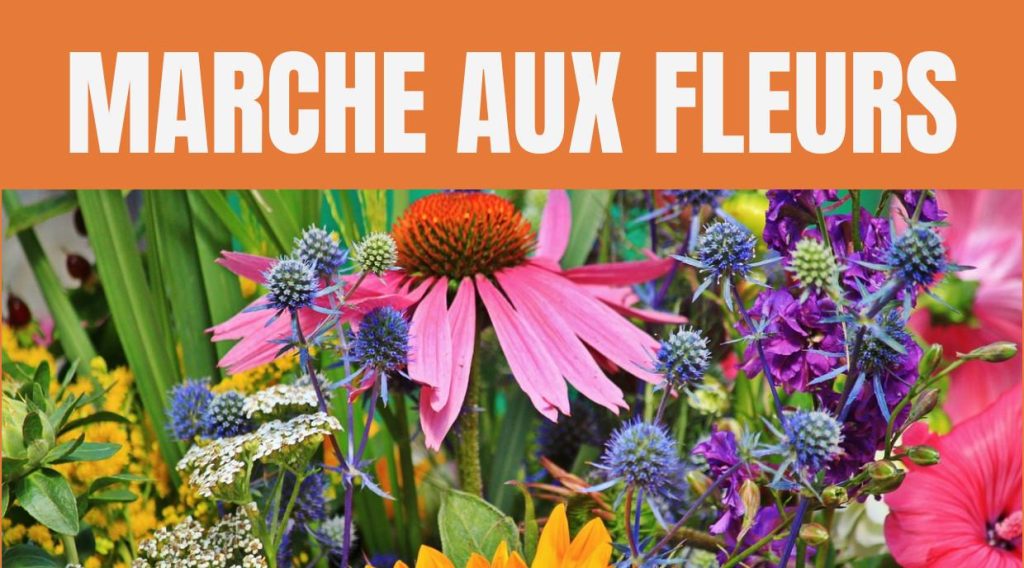 Marché aux fleurs d'Aubange | 2026