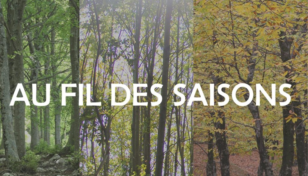 Balades au fil des saisons