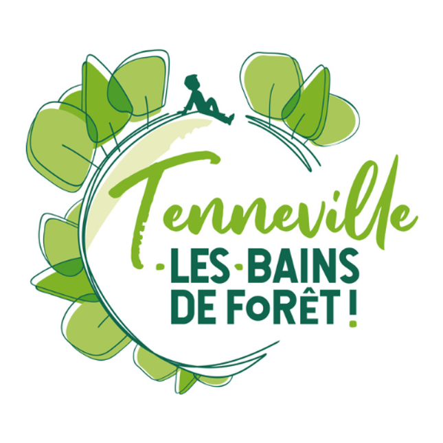 Bain de forêt : Transformation et prospérité