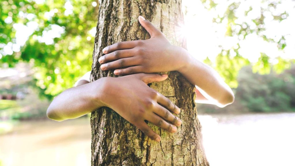 Rendez-vous nature: Balade multi-sensorielle