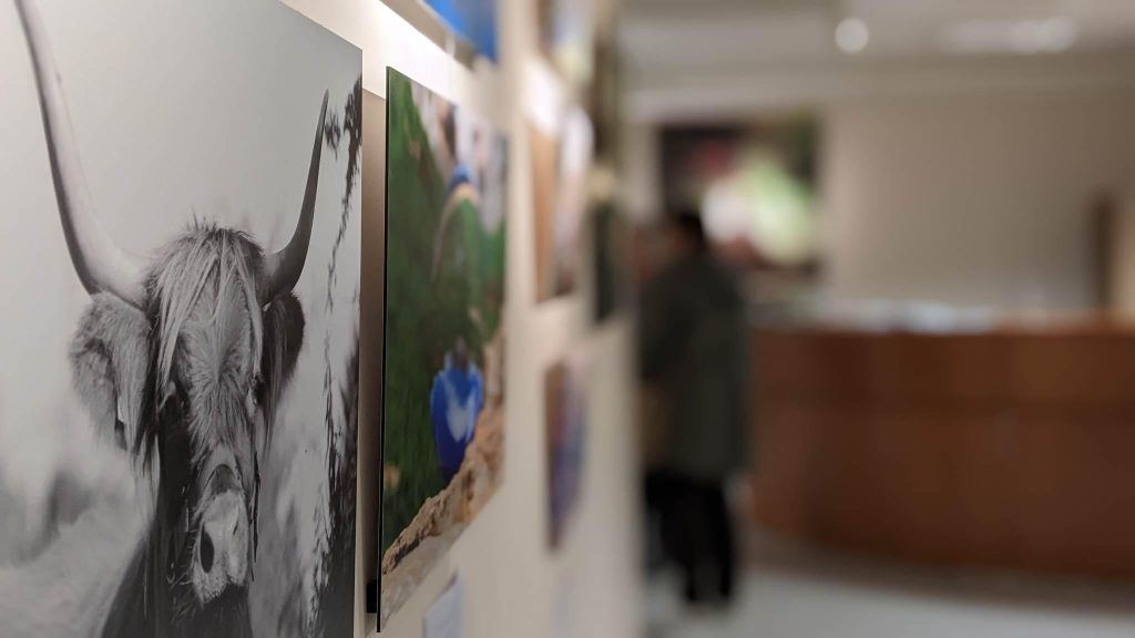 Expo photos "En mouvement" à La Glycine