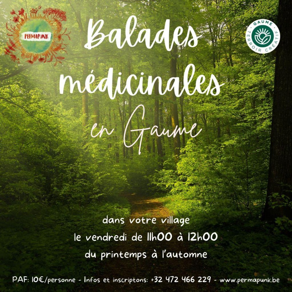 Balade médicinale en Gaume