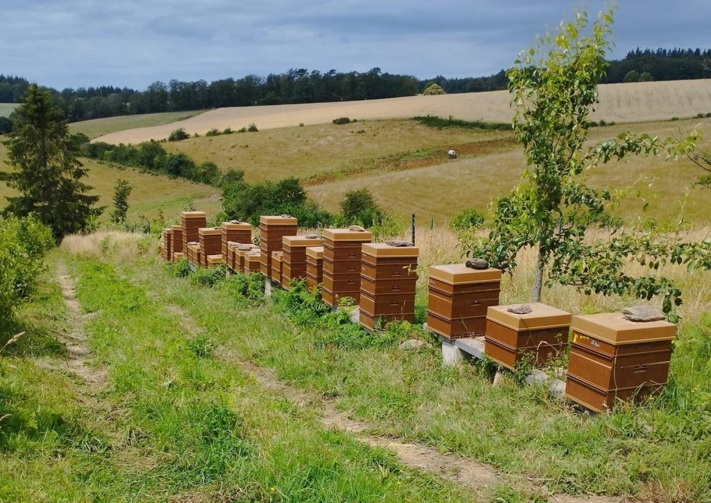 Conférence "l'Apiculture